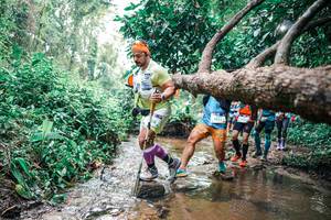 BIB: 
                            <button type="button" onclick="openModal(25372928)" class="btn btn-primary btn-sm float-right btn-popup" data-toggle="modal" data-target=".modal-high-quality">
                        <i class="fas fa-shopping-cart"></i> Add to Cart
                    </button>
                                            <button type="button" onclick="isThisMe(25372928, true)" class="btn btn-success btn-sm float-right btn-popup btn-isme hidden" data-toggle="tooltip" data-placement="bottom" title="นี่คือรูปของคุณใช่ไหม คลิกที่นี่เพื่อเอาเข้าอัลบั้ม">
                        <i class="fas fa-plus"></i> Add to album
                    </button>
                    <button type="button" onclick="isThisMe(25372928, false)" class="btn btn-warning btn-sm float-right btn-popup btn-isnotme hidden">
                        <i class="fas fa-ban"></i> Remove from album
                    </button>